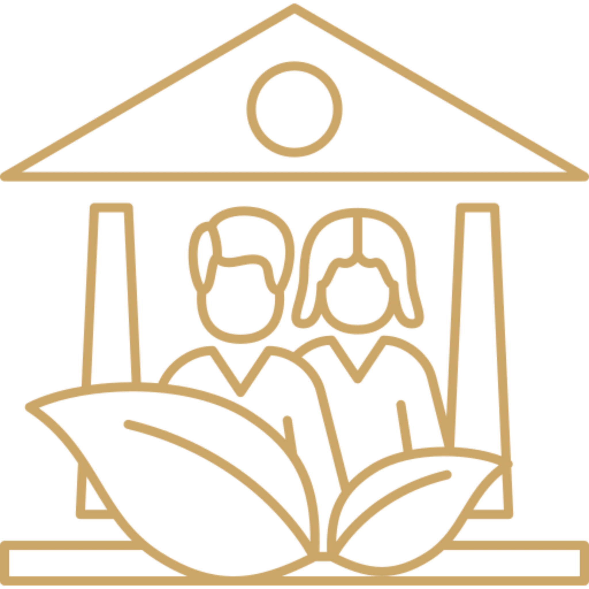 Neighbourhood Stewardship