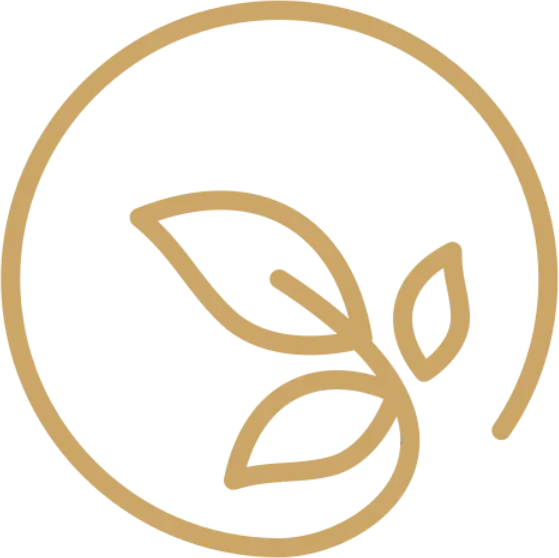 Content-Creator-Project (2)